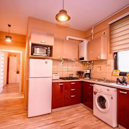 Apartament Vlad 3 *